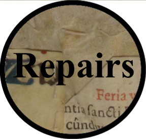Repair-Shield1.png.1