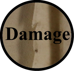 Damage-Shield.png
